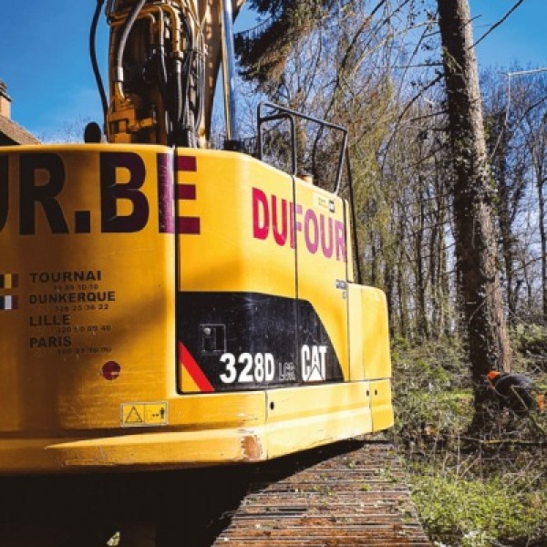 Abatage d&#039;arbres à Froyennes